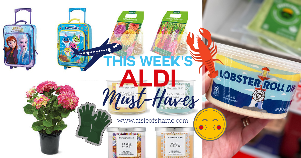 Lobster roll dip from Aldi and more must haves