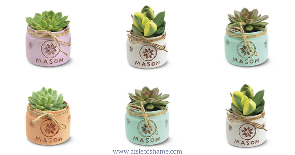 Mason Jar Succulents