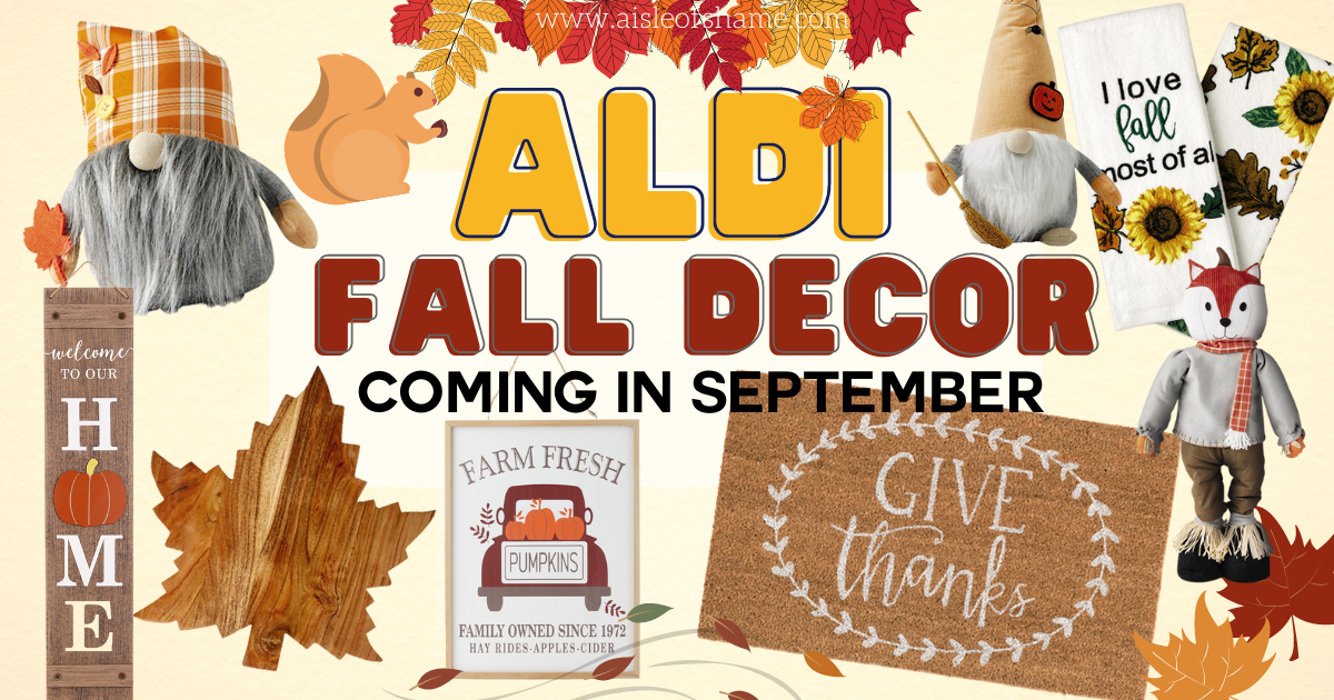all the aldi fall decor in september