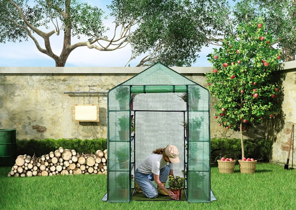 aldi greenhouse