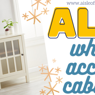 aldi white accent cabinet single door