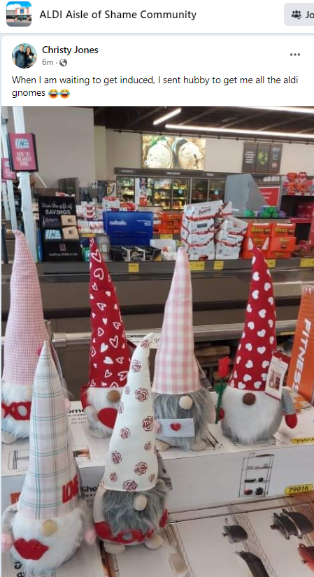 screenshot of aldi valentine's day gnomes from the aisle of shame facebook group
