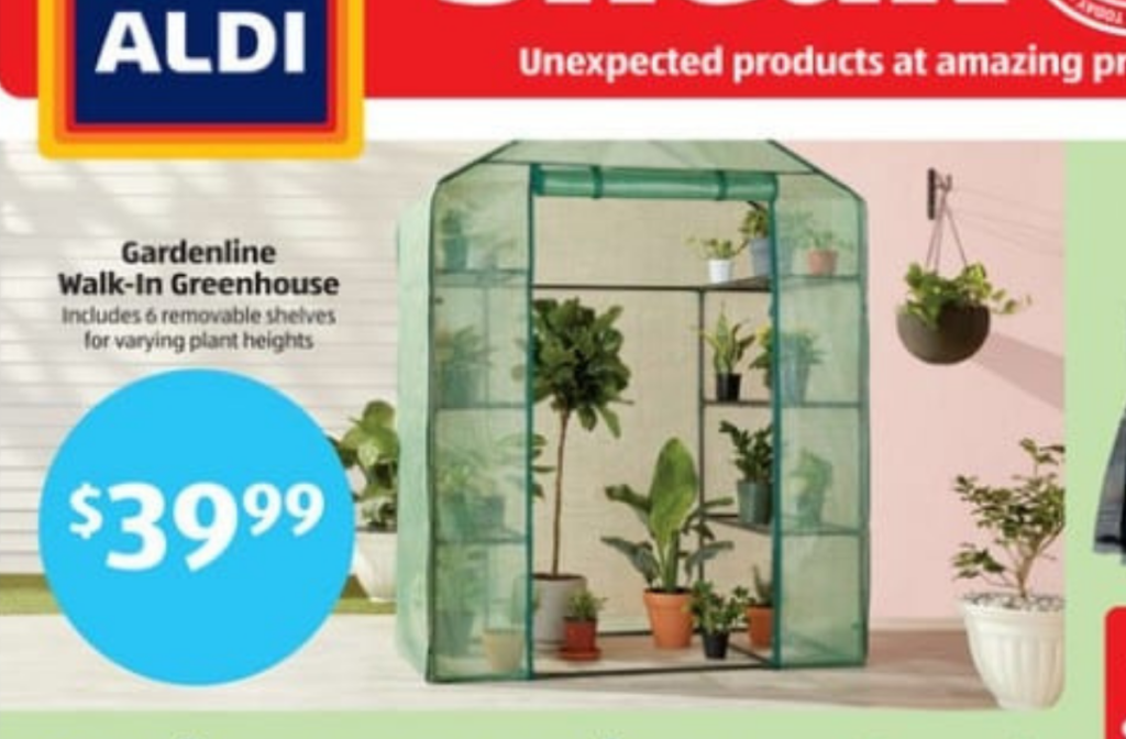 aldi gardenline walk in greenhouse