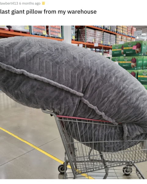 Costco Is Selling A Pillow The Size Of A Person Review 4