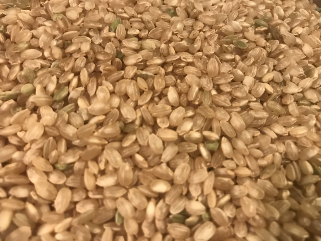 Lundberg Organic Brown Rice Short Grain Unpacking