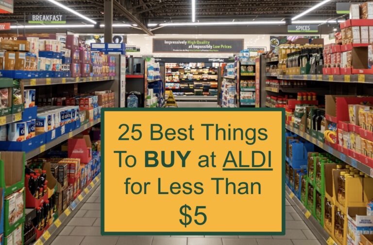 25 Best Things To Buy at Aldi for Less Than $5