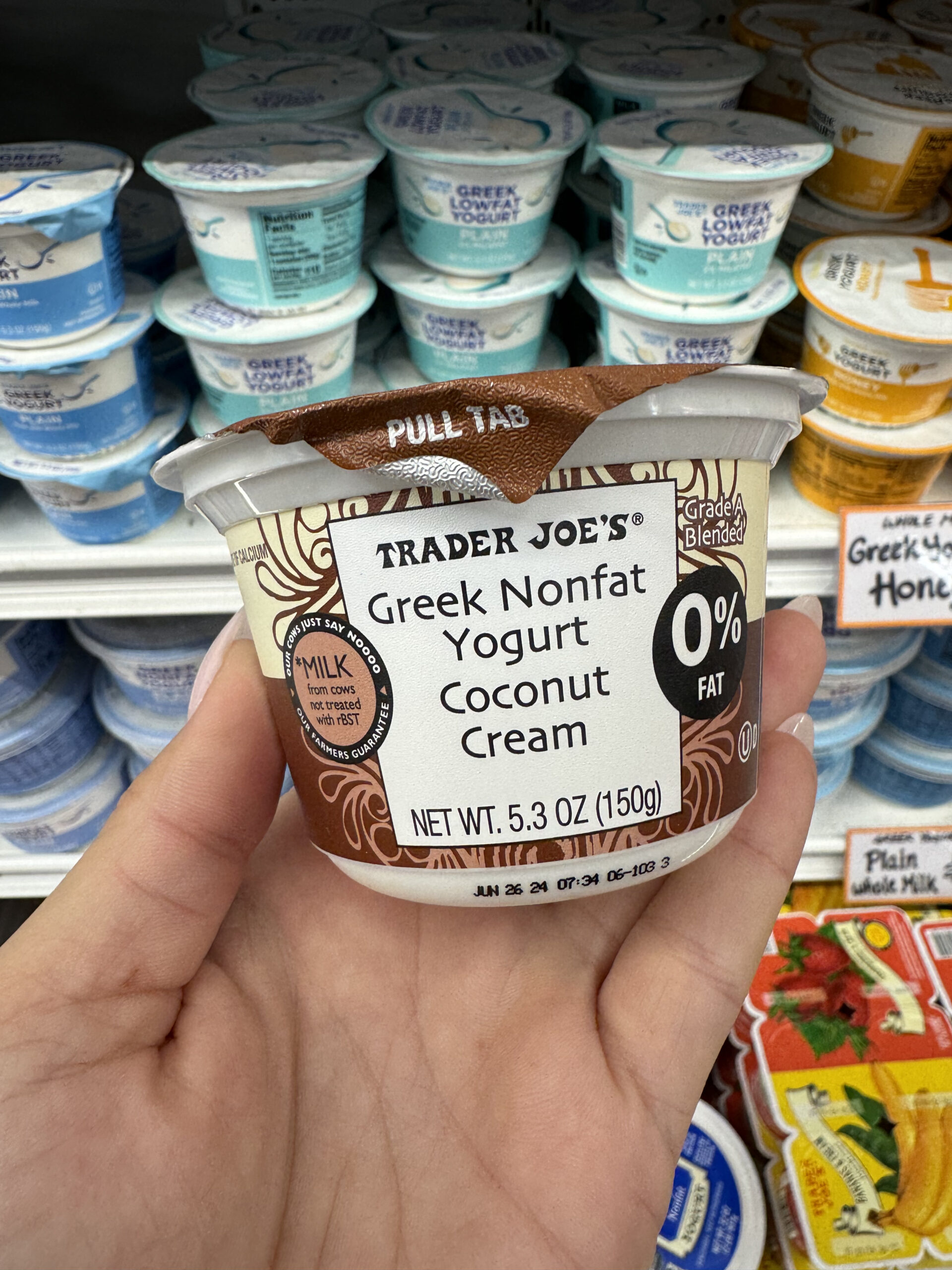 Curated visual reference: Dogs And Non Fat Yogurt Reference: Top Trader Joe S Yogurts You Must Try A Flavorful