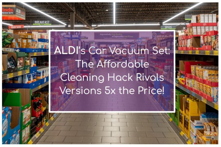 ALDI’s Affordable Car Vacuum Is Sears and Home Depot Dupe—It’s 5x Cheaper!
