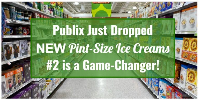Publix Just Dropped New Pint-Size Ice Creams—#2 Is a Game-Changer!