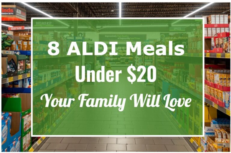 8 ALDI Meals Under $20 Your Family Will Love
