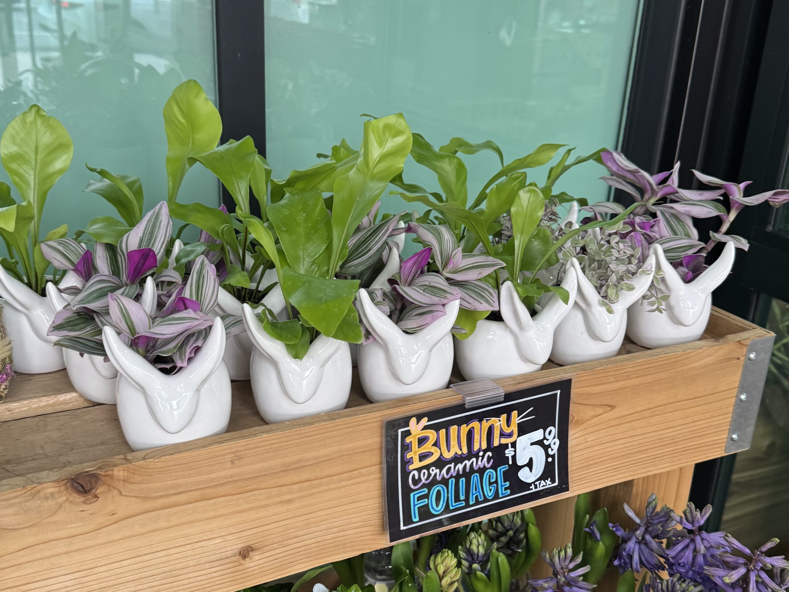 Bunny Ceramic FOLIAGE - in store