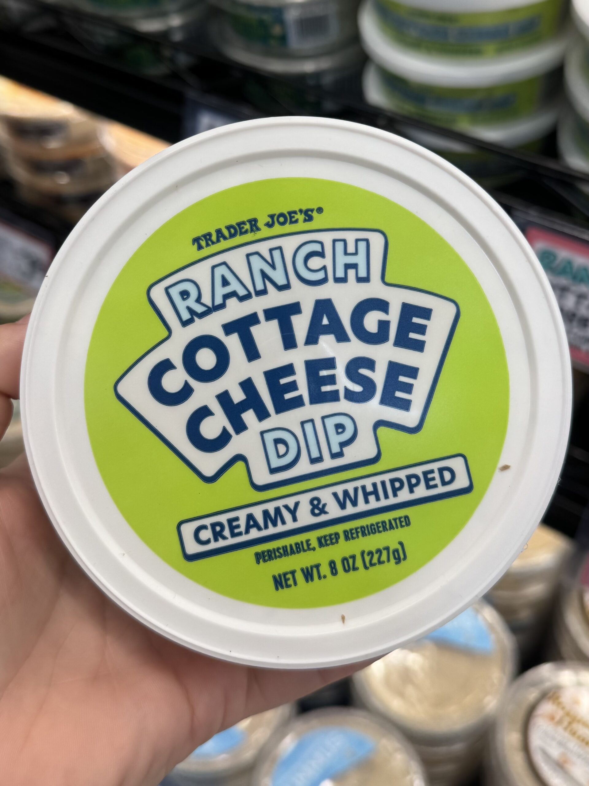 Ranch Cottage Cheese Dip - in store