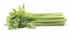 Celery