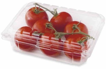 Campari Tomatoes