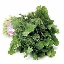 Rapini