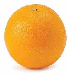 Navel Oranges