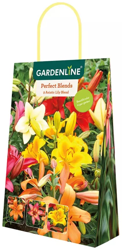 Sun or Shade Lovers Bulbs - Assorted Varieties