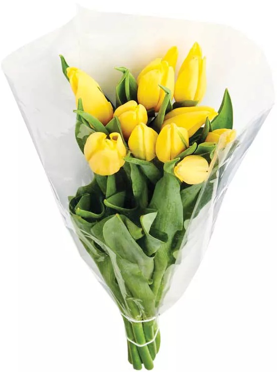 Easter 10 Stem Tulip Bouquet -