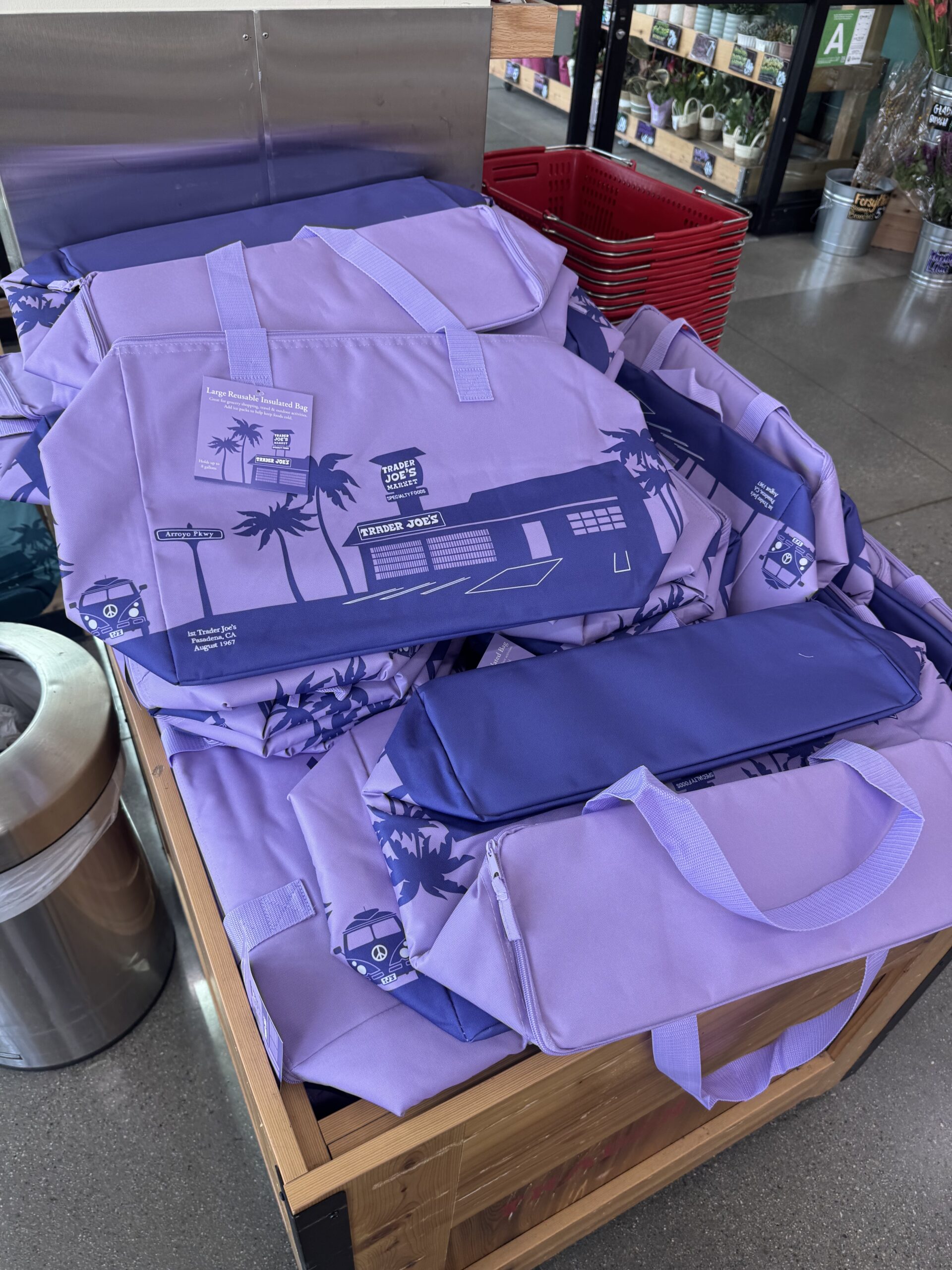 Large Reusable Insulated Bag, Teal - in store