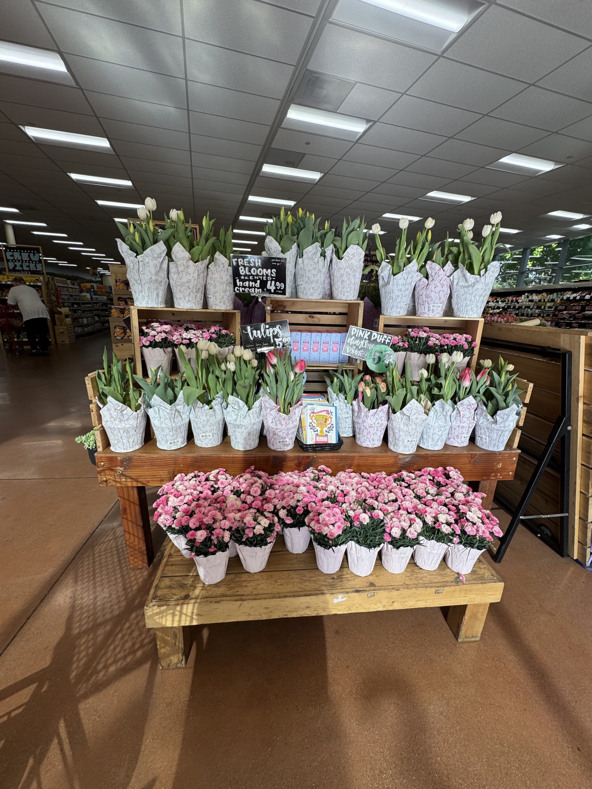 tulips - in store