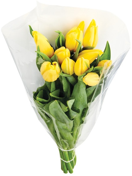 10 Stem Fresh Tulips - 