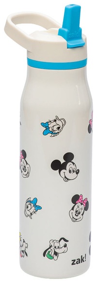 Zak! Disney Character Stainless Steel Bottle - Mickey & Friends