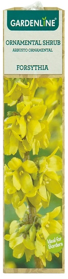 Gardenline Blue Hydrangea - 
