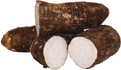 Malanga Root