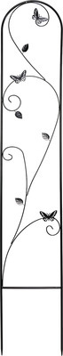 Belavi Trellis