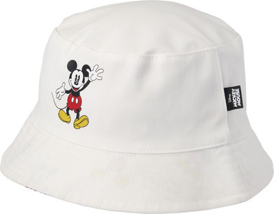 Disney Hat