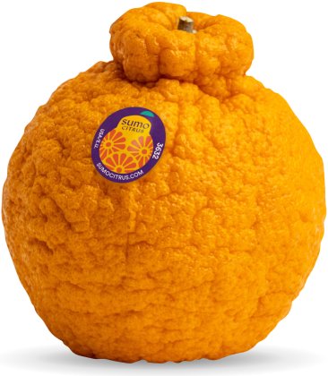 Sumo Citrus
