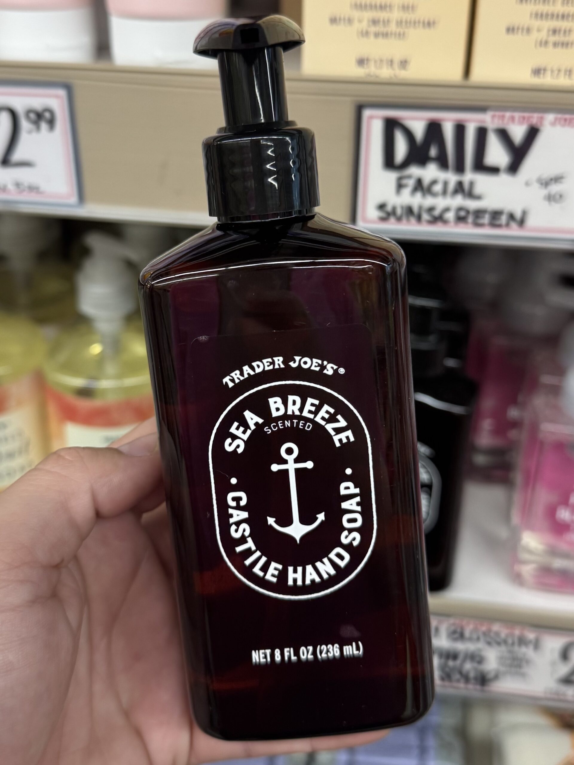 Sea Breeze Castile Hand Soap - in store