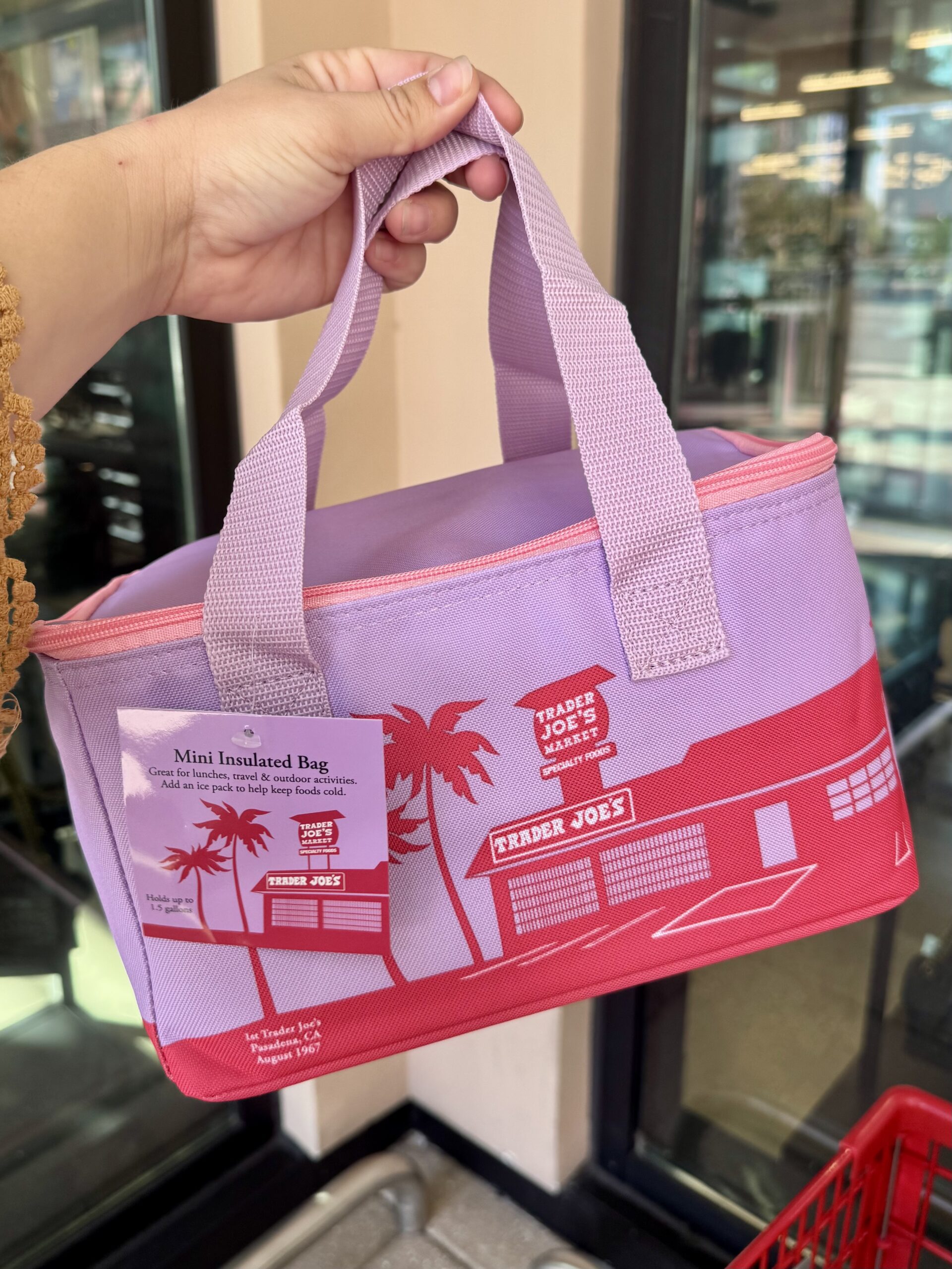 Mini Insulated Bag, Lavender and Pink - in store