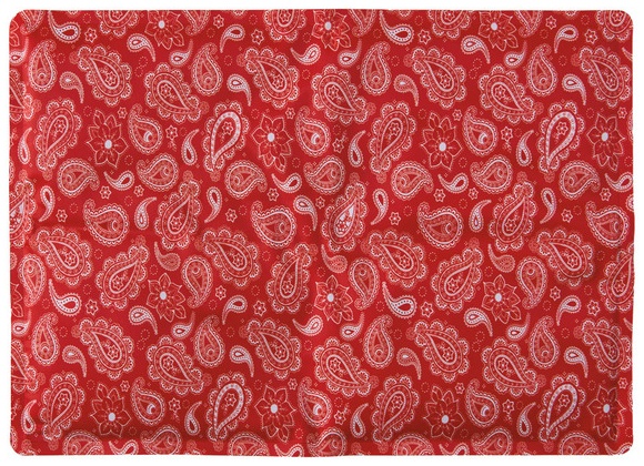 Crofton Large Hot/Cold Pack - Red/Paisley