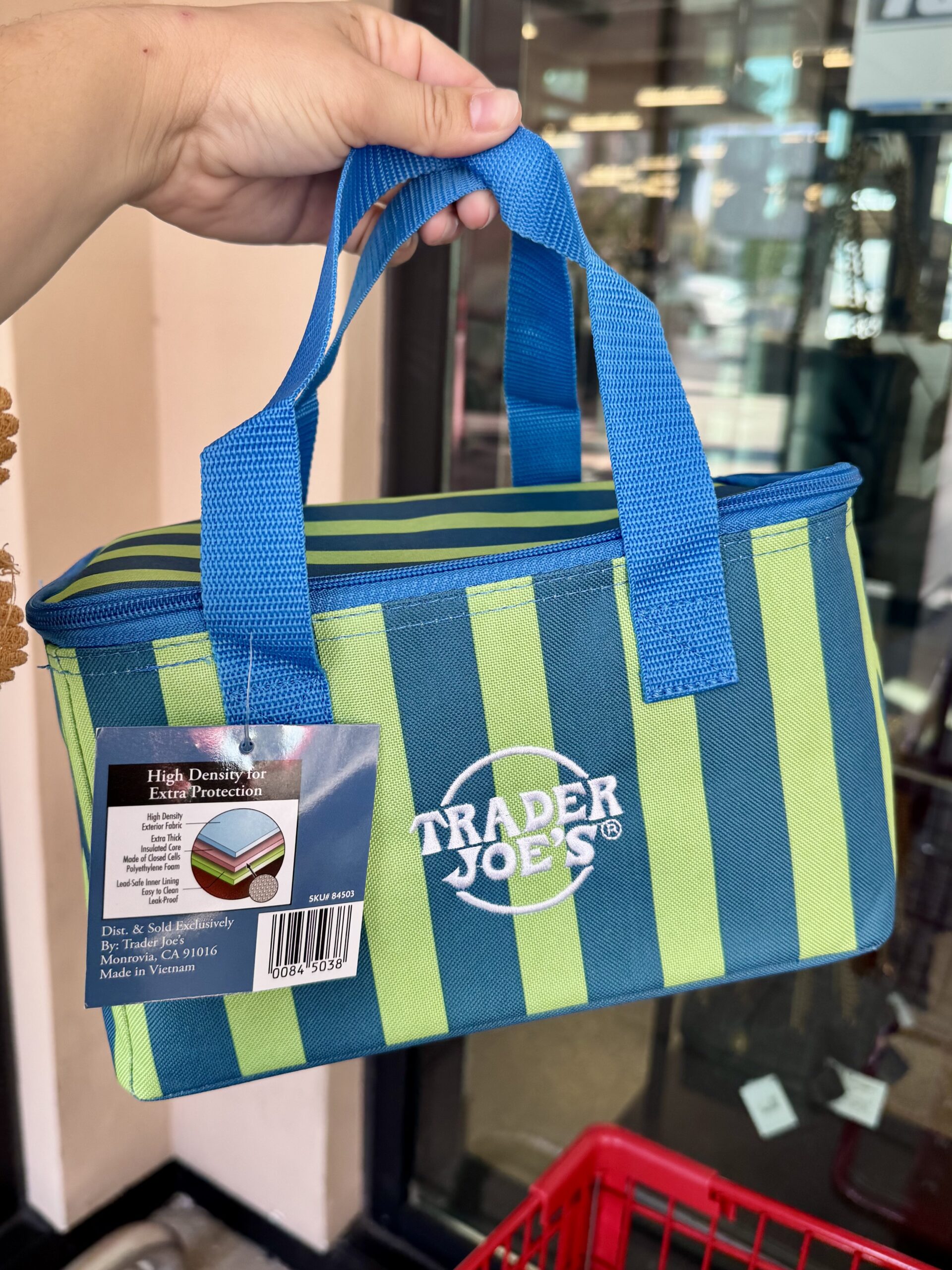 Trader Joe's Insulated Bag - in store