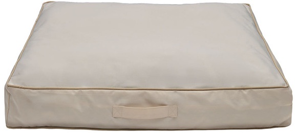 Beige Solid