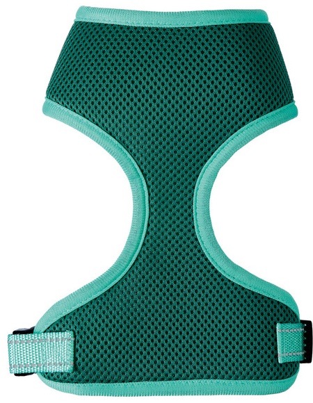 Green, S