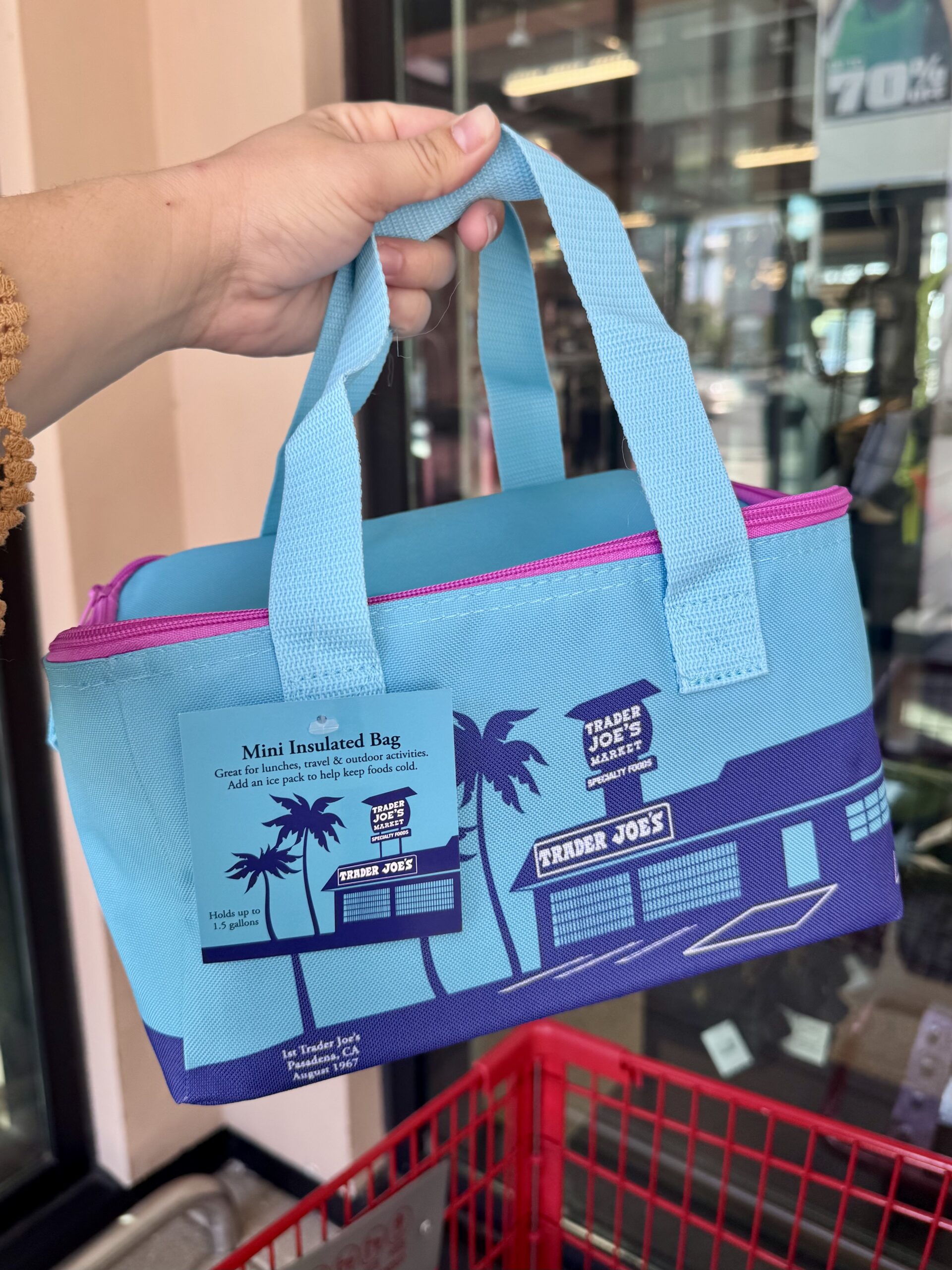 Mini Insulated Bag, Lavender and Pink - in store