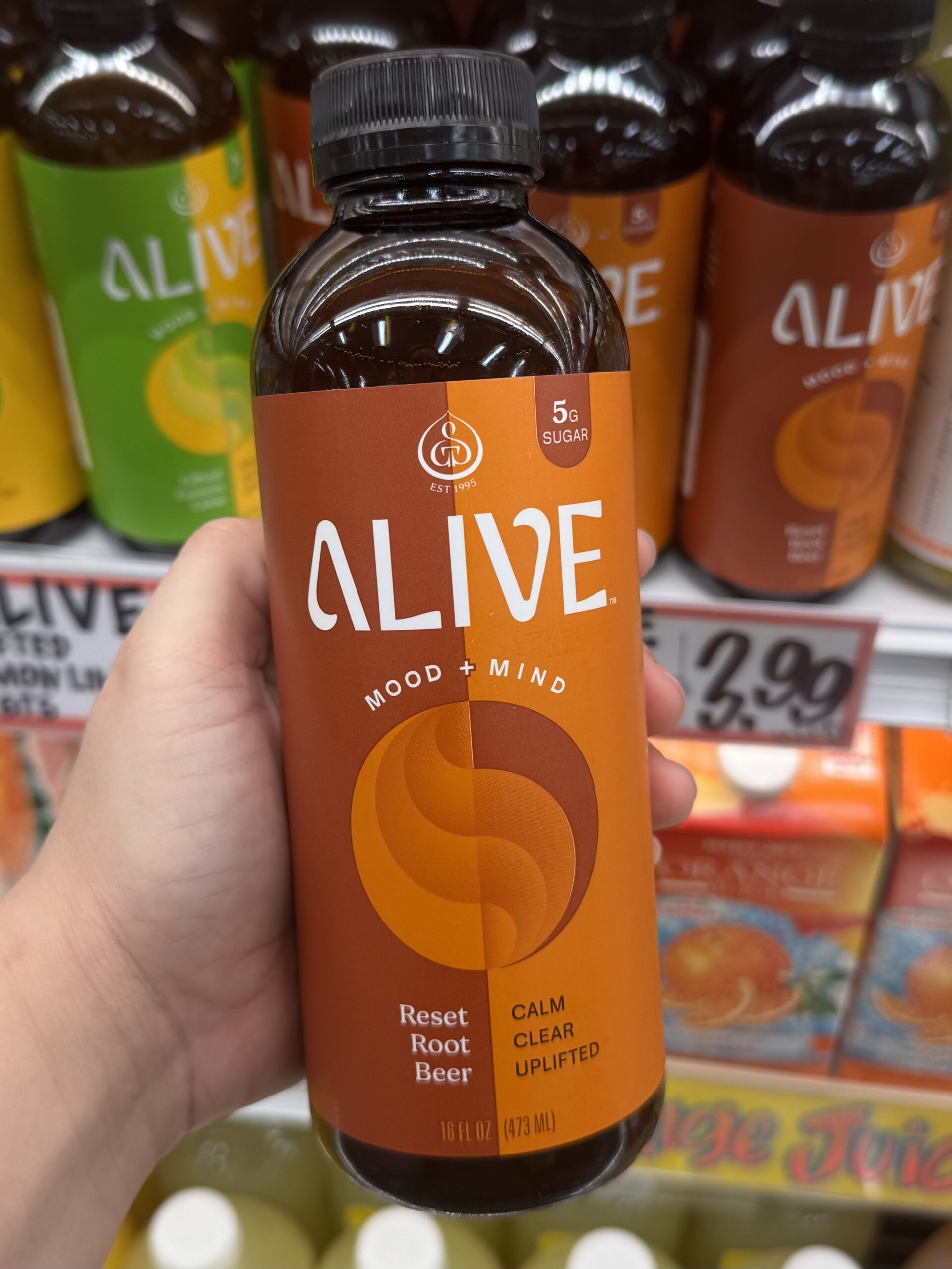 ALIVE MOOD + MIND Reset Root Beer - in store