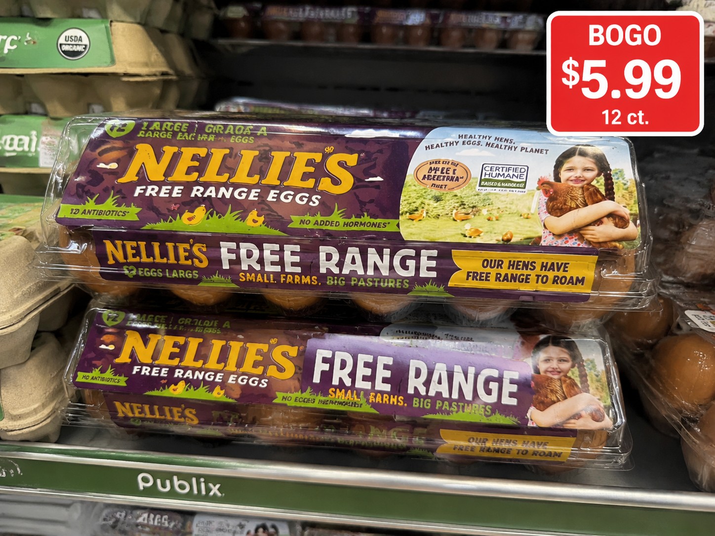NELLIE'S FREE RANGE LARGE EGGS 12 ct. (Dozen) Large Grade A Fresh Brown Eggs