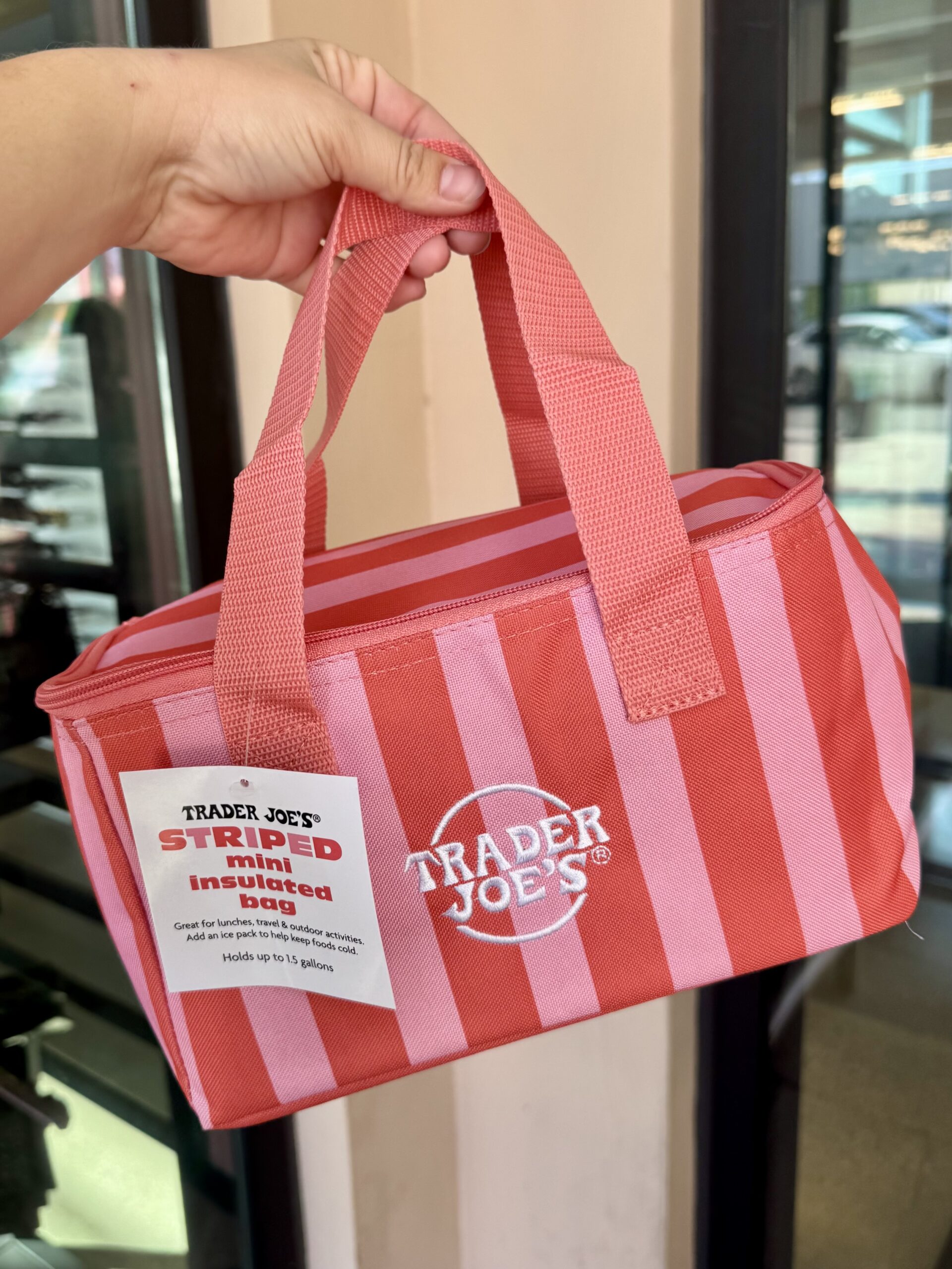 TRADER JOE'S STRIPED mini insulated bag - in store