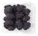 Organic Blackberries