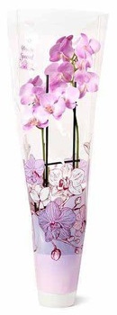 Mother's Day Phalaenopsis Orchid