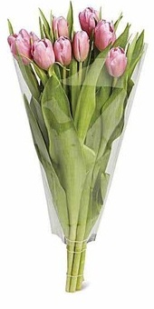 Tulip Bouquet