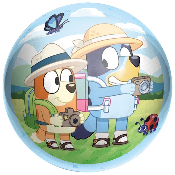 Hedstrom Bluey Ball - 