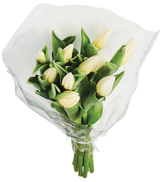 Mday 10 Stem Tulips - 