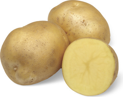 Organic Yellow Potatoes