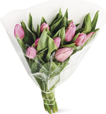Mother's Day 10-Stem Tulip Bouquet