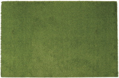Belavi 4' x 6' Landscape Turf Rug