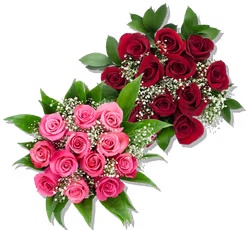 The Perfect Mother's Day Dozen Roses
